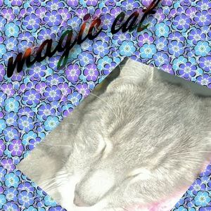 Meet your Posher, S.j.